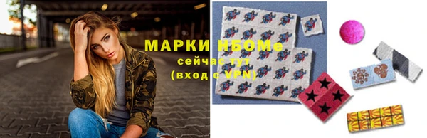 дмт Инсар