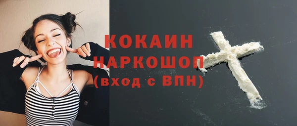дмт Инсар