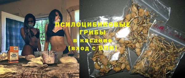 дмт Инсар