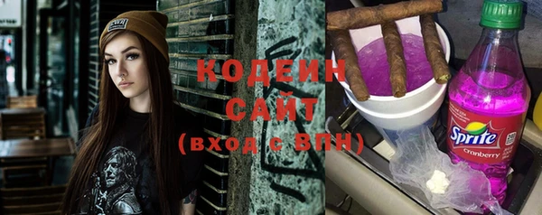 дмт Инсар